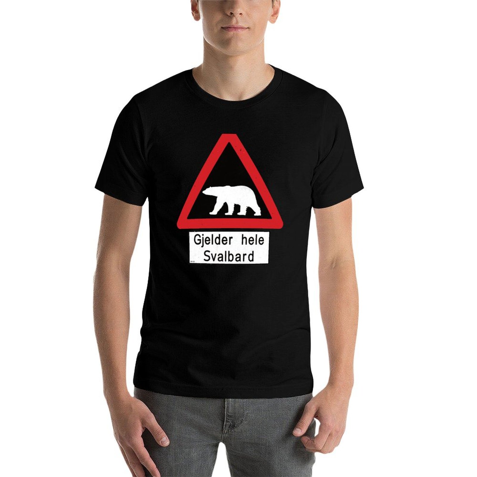 Svalbard Beware of Polar Bears - Summer Clothing Aesthetic review and price